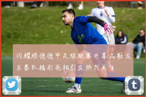 闪耀顺德德甲足球联赛开幕式勒流东泰队精彩亮相引发热烈关注